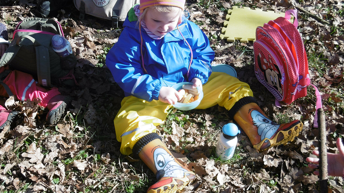 Wald und Natur