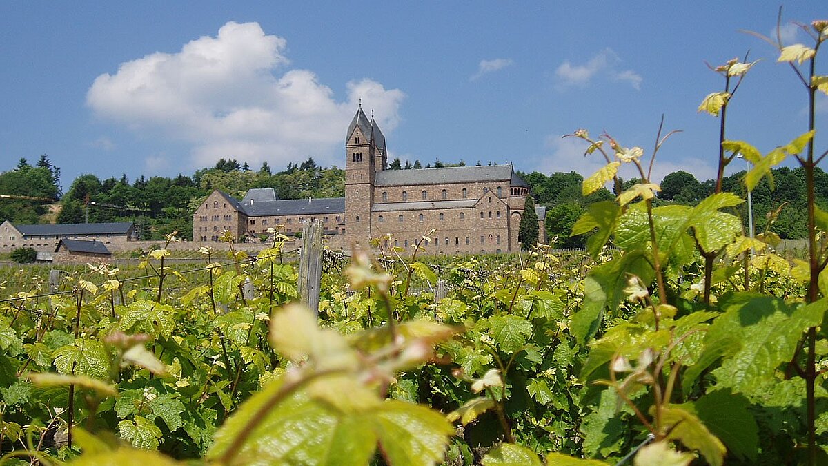 Gemeindewallfahrt in den Rheingau