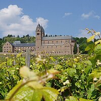 Gemeindewallfahrt in den Rheingau