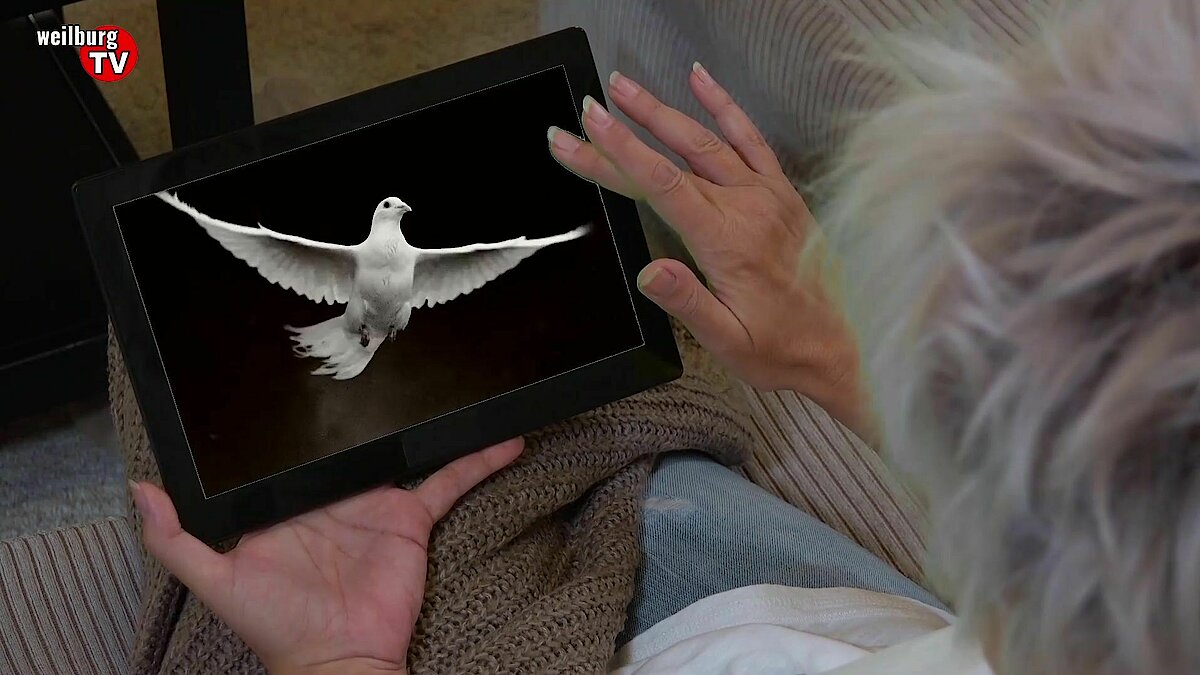 Ökumenischer digitaler Pfingstgottesdienst