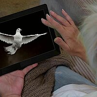 Ökumenischer digitaler Pfingstgottesdienst